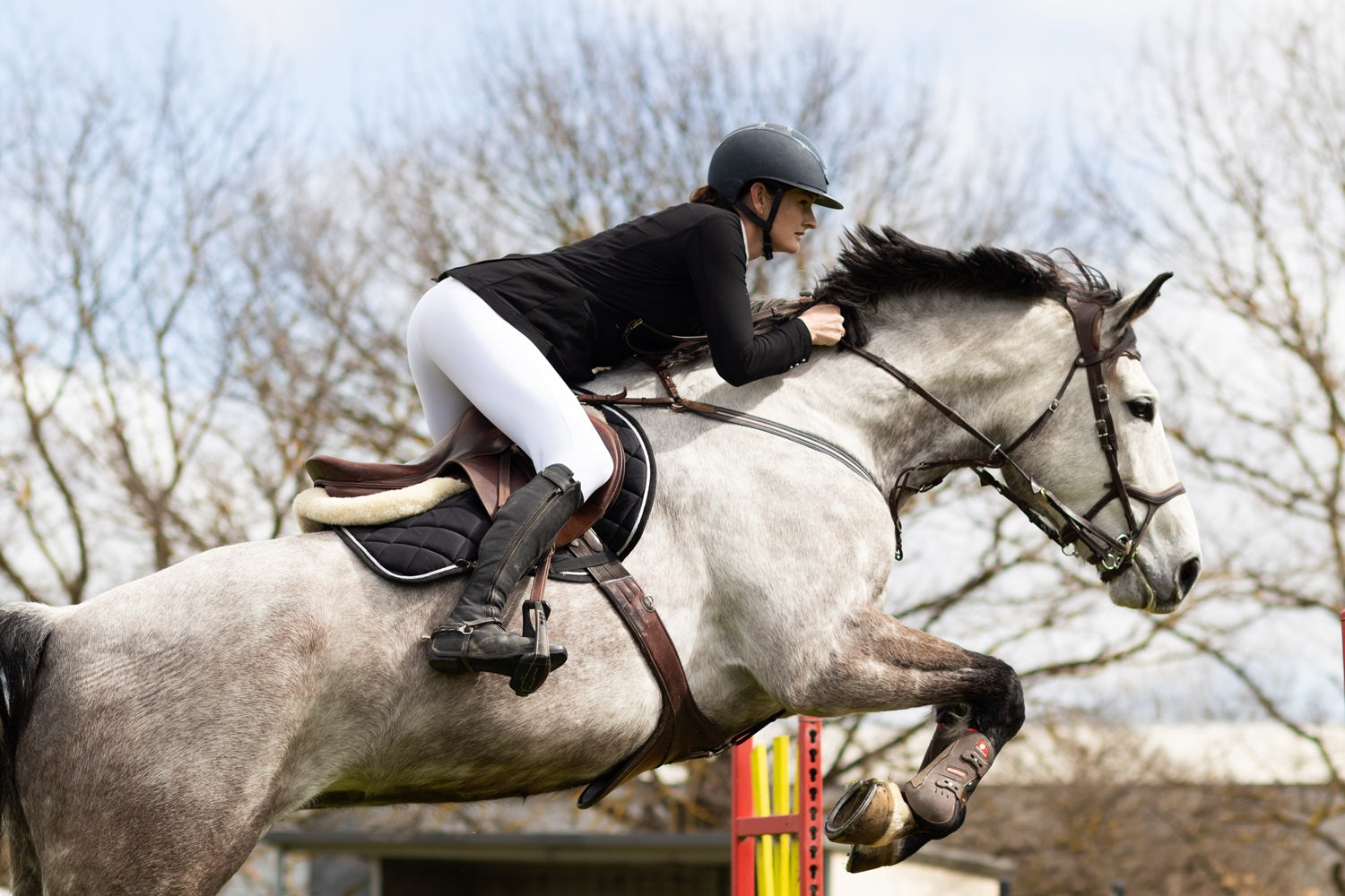 Classic Hybrid Breeches - Pure White
