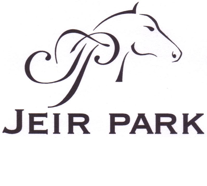 Logo Riding Hoodie - Jeir Park
